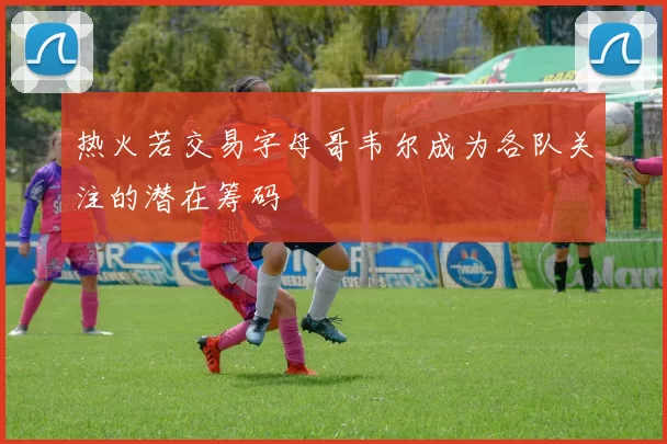 热火若交易字母哥韦尔成为各队关注的潜在筹码